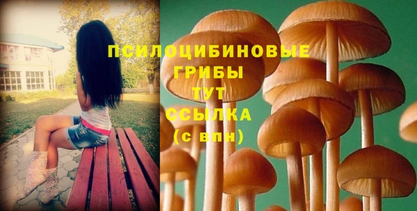 соль ск Белоозёрский