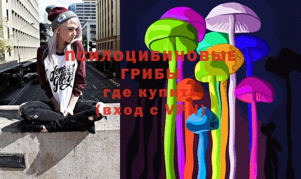 соль ск Белоозёрский
